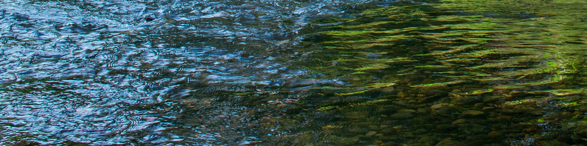 Eine gute Behandlung bedeutet das Ineinanderfließen der Offenheit des Patienten und des Wissens des Therapeuten.